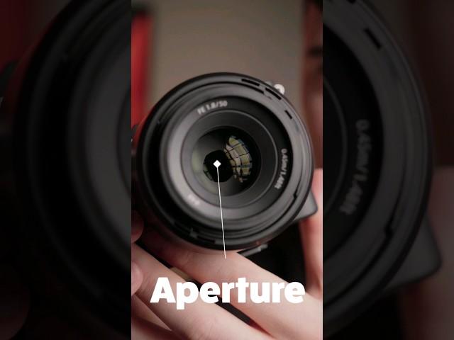 Camera Basics: Aperture Explained!