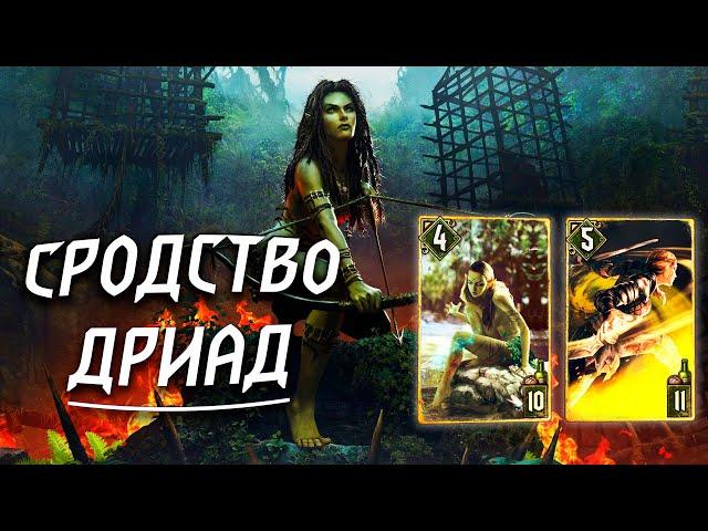 Гвинт - Колода Скоя'таэлей: Сродство Дриад. Gwent 7.0