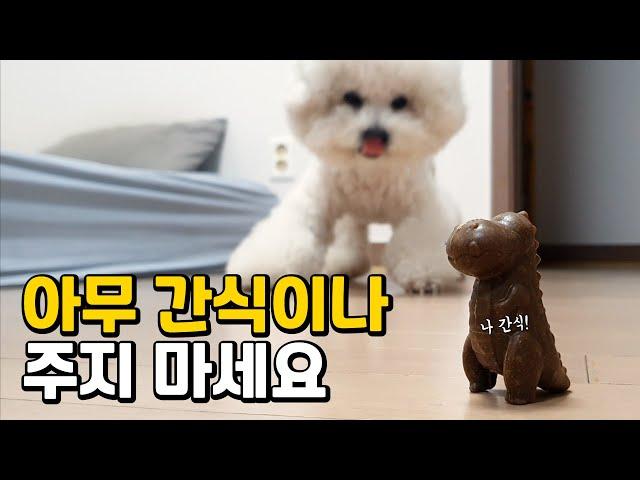 강아지 간식은 이 영상으로 정리합니다