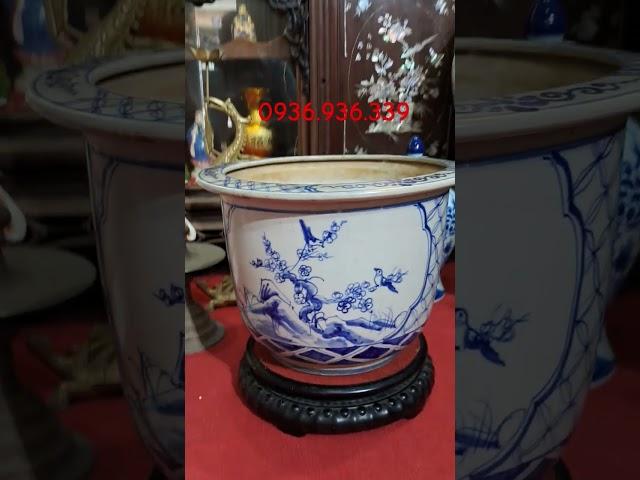 Chậu sứ