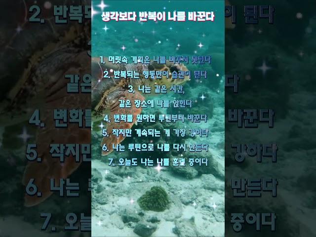 생각보다 반복이 나를 바꾼다