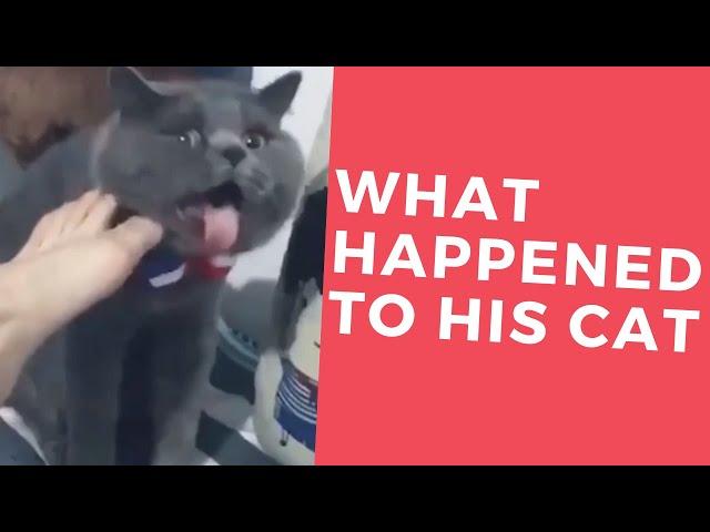 WHAT HAPPENED ?  l Crazy Fun l Funny Videos 2019