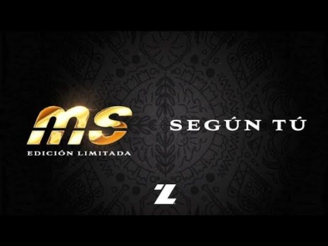 Banda MS de Sergio Lizárraga - Según Tú (Video Lyric) SFM Aldo Daniel