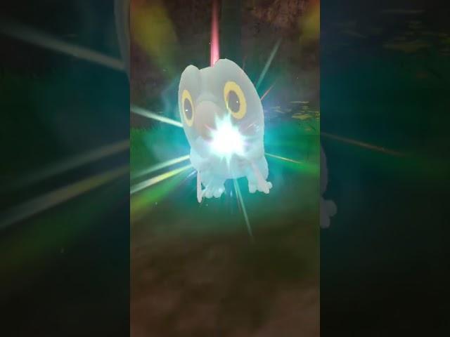 Evolving SHINY FRIGIBAX!