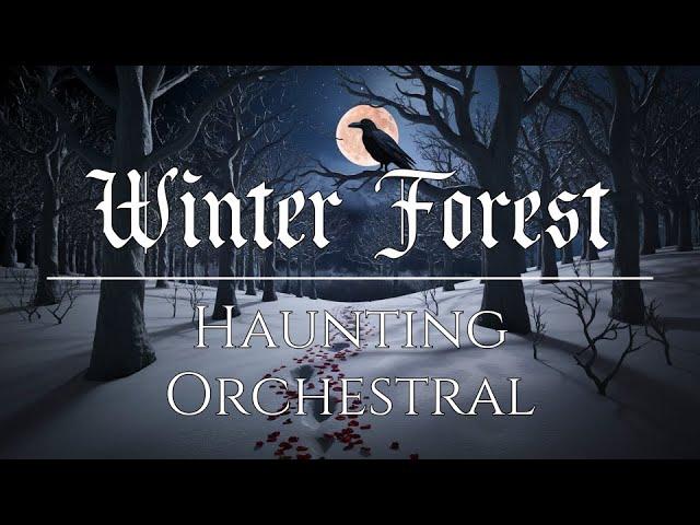 Winter Night Forest Walk ‍⬛ Haunting Orchestral Music ️ Winter Night Playlist