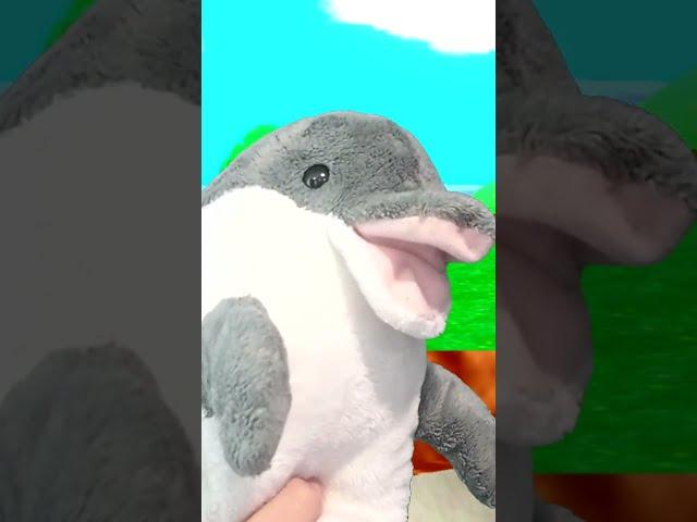 super flippers 64 #shorts