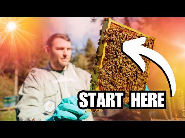 How To Start Beekeeping In 2025