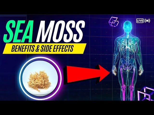 Sea Moss Benefits and Side Effects