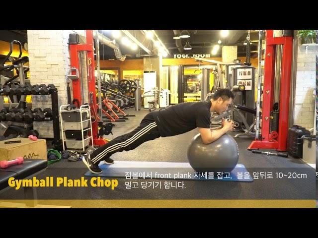코어 및 어깨 보강 운동을 위한  ball plank chop