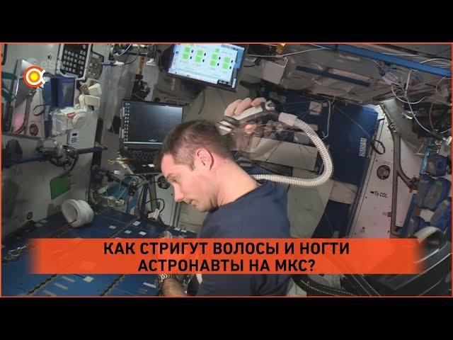 Космос для детей: как стригут волосы и ногти на МКС?