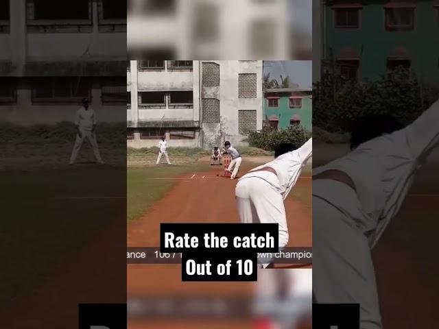 Incredible catch!#youtube #shorts #cricketgraph #cricket