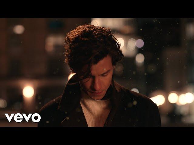 Shawn Mendes - It'll Be Okay