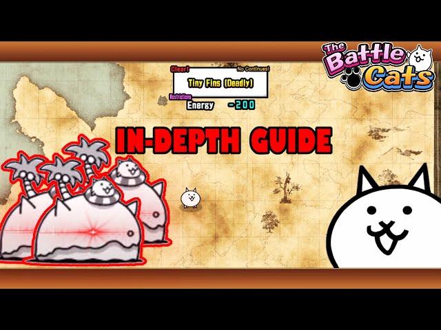 How to Beat Li'l Island EASILY! | The Battle Cats