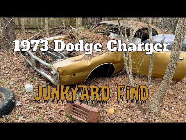 1973 Dodge Charger junkyard find