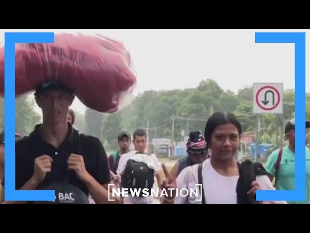 4,000 migrants headed to southern border | NewsNation Now