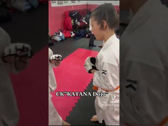 Тренировки в CK “KATANA Dojo”