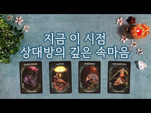 [타로] 지금 이 시점 상대방의 깊은 속마음