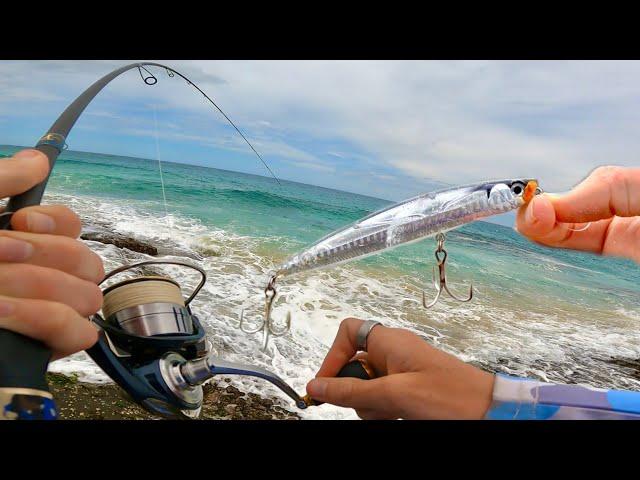 TOPWATER Fishing A Rocky Headland!