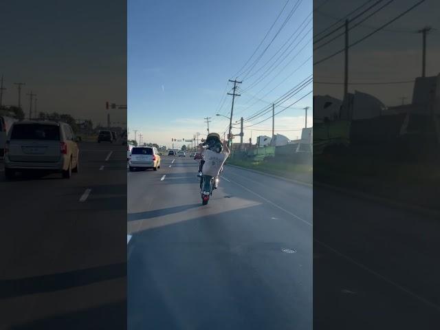 Insane Harley Stunts in Traffic