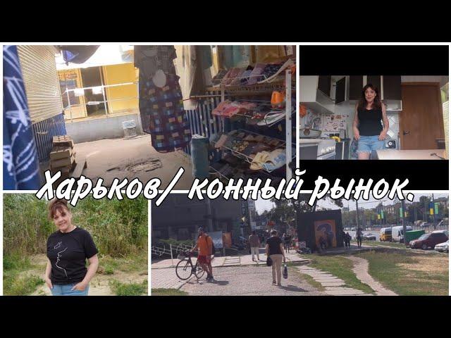 В Харькове шумно / конный рынок.