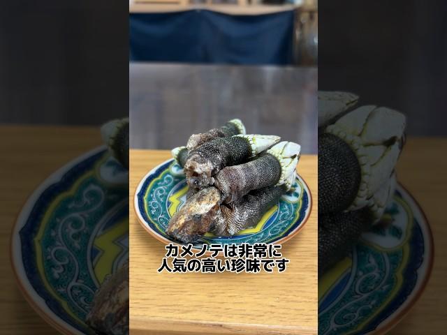 鳴門 の カメノテ ！ ！ いただきます！ #せり人ムタロー #shorts