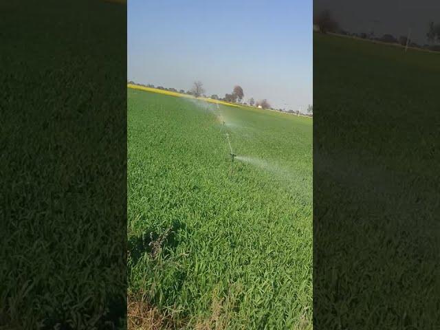 Raingun irrigation system in Rajasthan