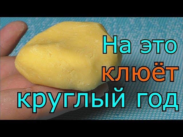 Тесто для рыбалки