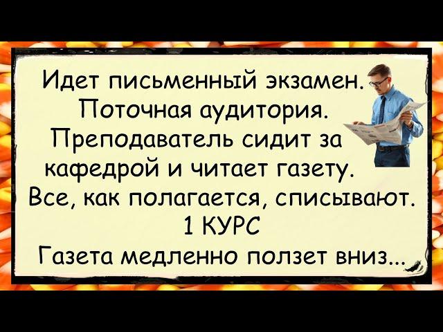  Как в ВУЗах на разных курсах экзамен принимают анекдоты юмор смех