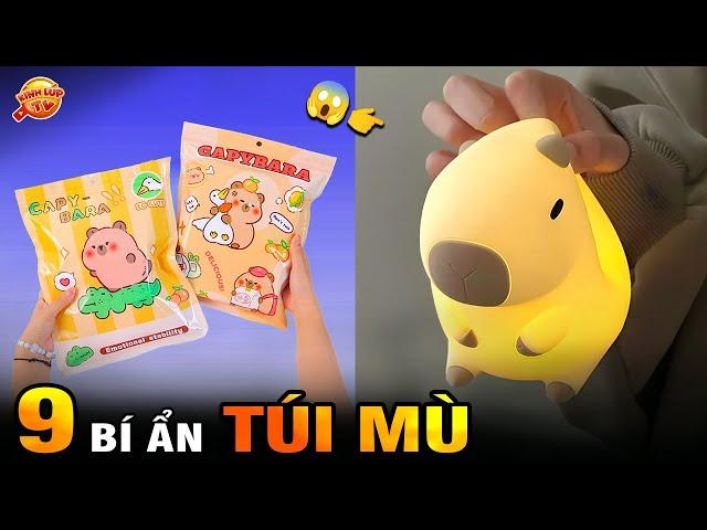  9 Bí Ẩn Ly Kỳ và Thú Vị về Hộp Mù, Túi Mù, Trào Lưu Art Toys Khiến Giới Trẻ Cực Mê I Kính Lúp TV