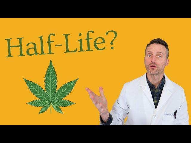 Understanding THC half-life and detection times