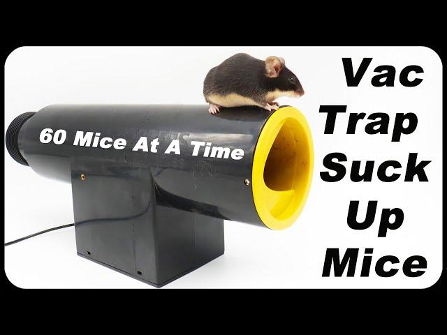 New Vac Rat Trap Sucks Up 14 Mice In 1 Weekend. Amazing New Mouse Trap. Mousetrap Monday - Rat Vac