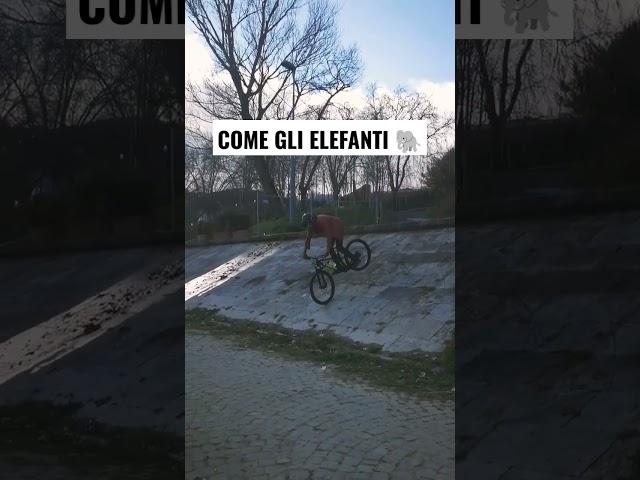 STOPPIE SUL DISCESONE DEL TEVERE  #shorts #bike #fyp