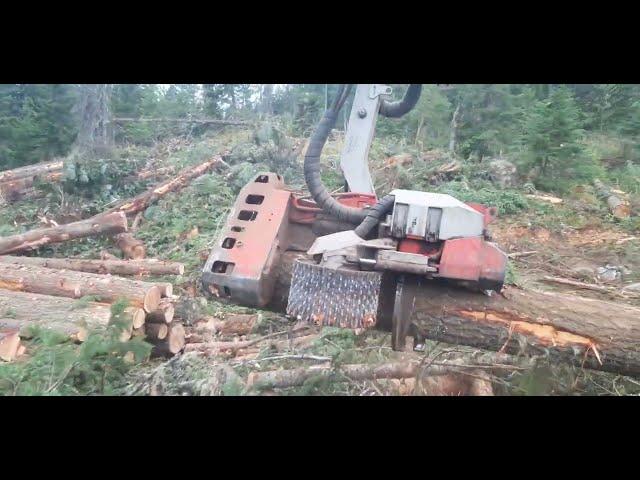 logging with the logmax 7000xt