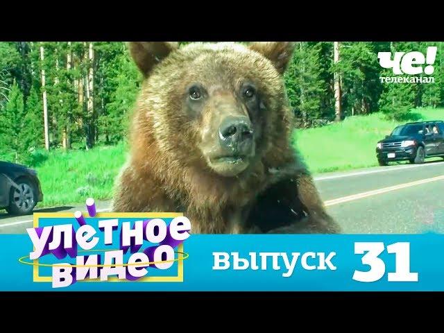 Улетное видео | Выпуск 31