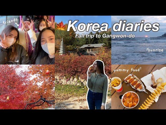 KOREA VLOG  Fall trip to Gangwon-do with friends: autumn foliage, Korean food, sunrise in Gangneung