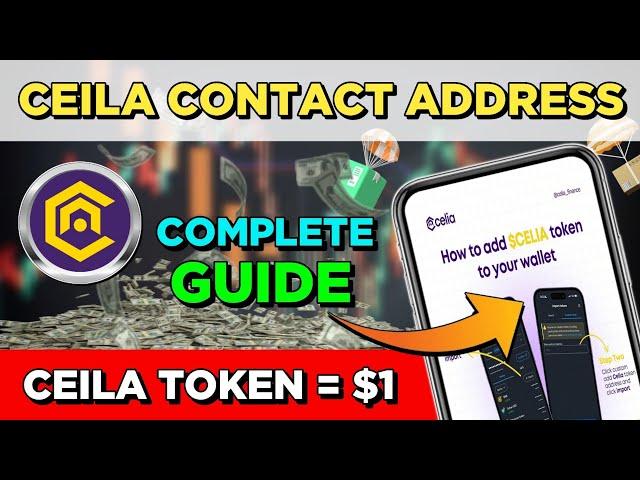 Ceila Contact Address Complete Guide | Ceila Listing Price | Ceila Network