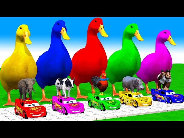 5 Giant Duck Cartoon, Cow, Mammoth, Elephant, Lion, Paint Wild Animals Crossing Fountain Animation