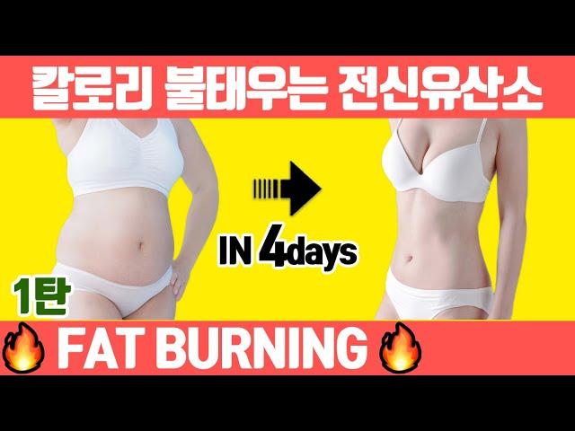 Flabby Fat For a quick loss of body fat, do this for one month (Cardio diet/Tabata/Calorie burn)