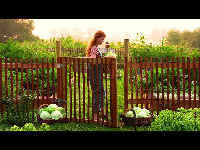 Cabbage Harvest to Homemade Sauerkraut  ASMR Cooking, Counrty Life, Summer Garden