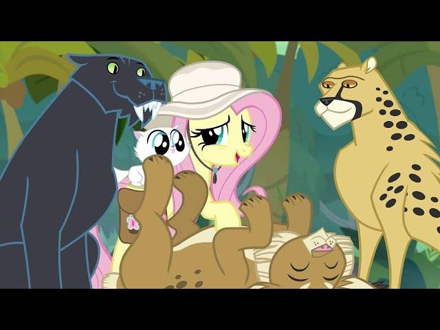 My Little Pony: FIM Season 9 Episode 21 (Daring Doubt)