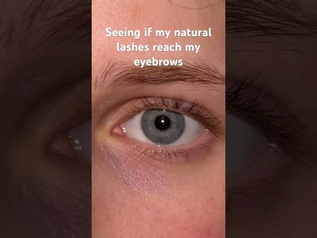 Reaching My Eyebrows With Eyelashes!