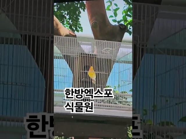 #제천한방엑스포 #식물원