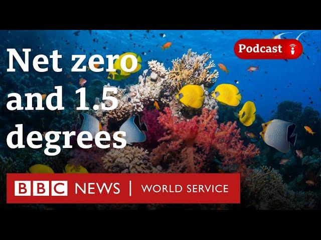 Why is 1.5 degrees important? - The Climate Question, BBC World Service