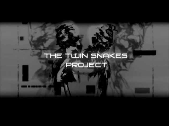 The Twin Snakes Project - COMING SOON!