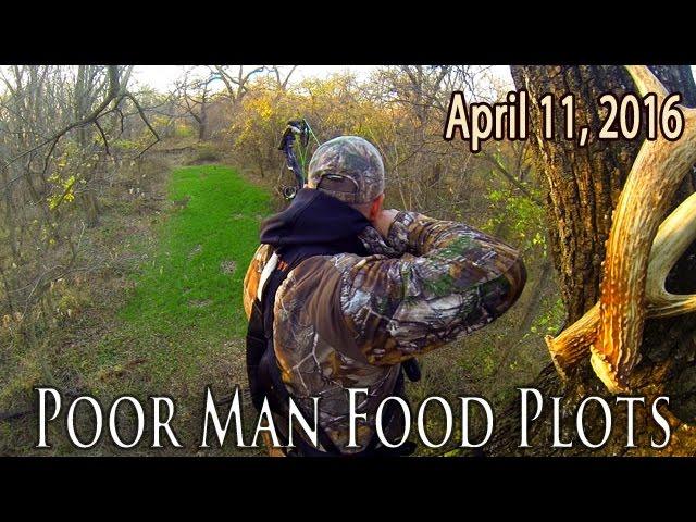 Midwest Whitetail | Food Plot Planting Tips -- Affordable Food Plots