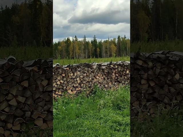 А зима будет большая...️ #сибирь #деревня