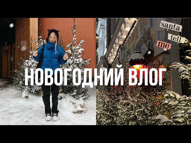 ВЛОГ: Новогодние каникулы в Москве и Питере, театр, друзья и подарки