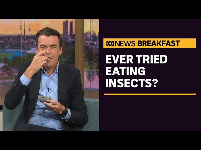 How eating insects could help improve Aussie diets | ABC News