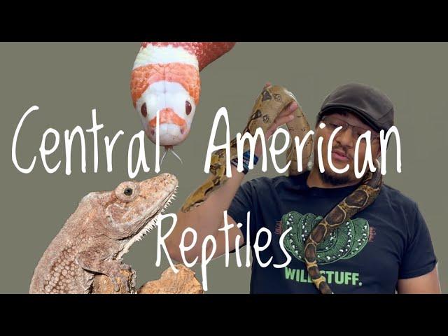 5 Great Reptile Pets from Central America