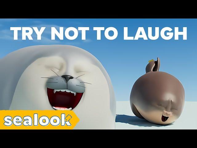 Try Not To LaughChallenge | Which level are you in? | SEALOOK | Episodes Compilation